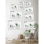 Frosty Succulents by Marmont Hill - Single Picture Frame Painting-1526950600