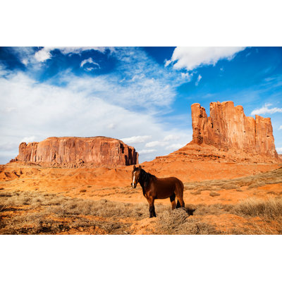 Horse Monument Valley - Unite States Of America 1 Piece Wrapped Canvas Wall Art