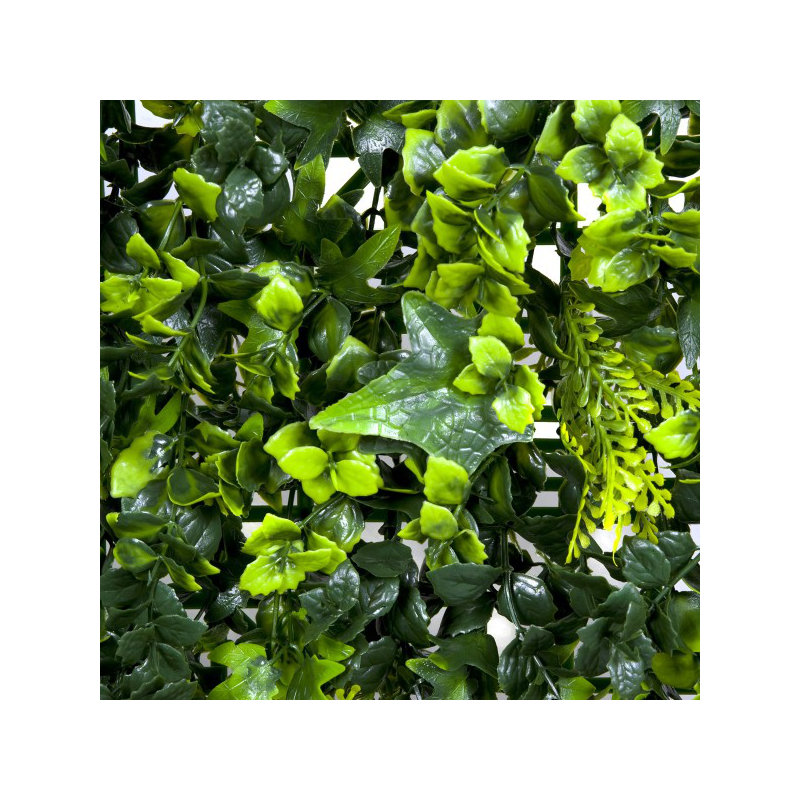 53cm Plant
