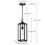 18 in Outdoor Pendant Light with Matte Black Finish,1 E26 Bulb Base