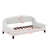 Twin Size Modern Luxury Tufted Button Daybed-1048411715