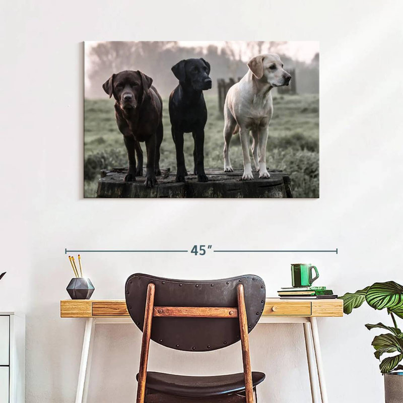 Brampt Labrador Dogs, 26" H x 39" W