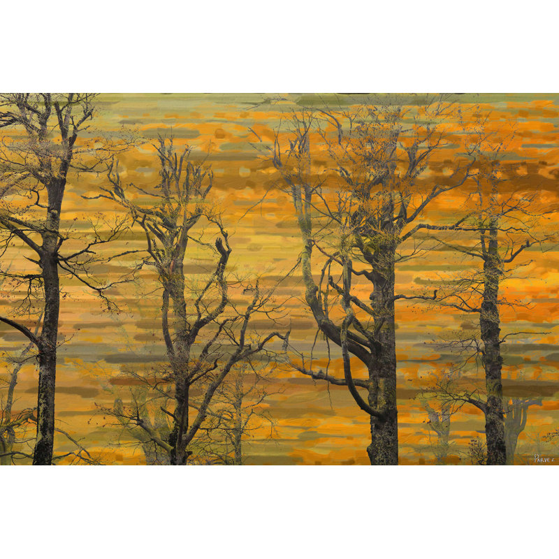 Wrapped Canvas Print, 61 cm H x 91 cm W x 5 cm D
