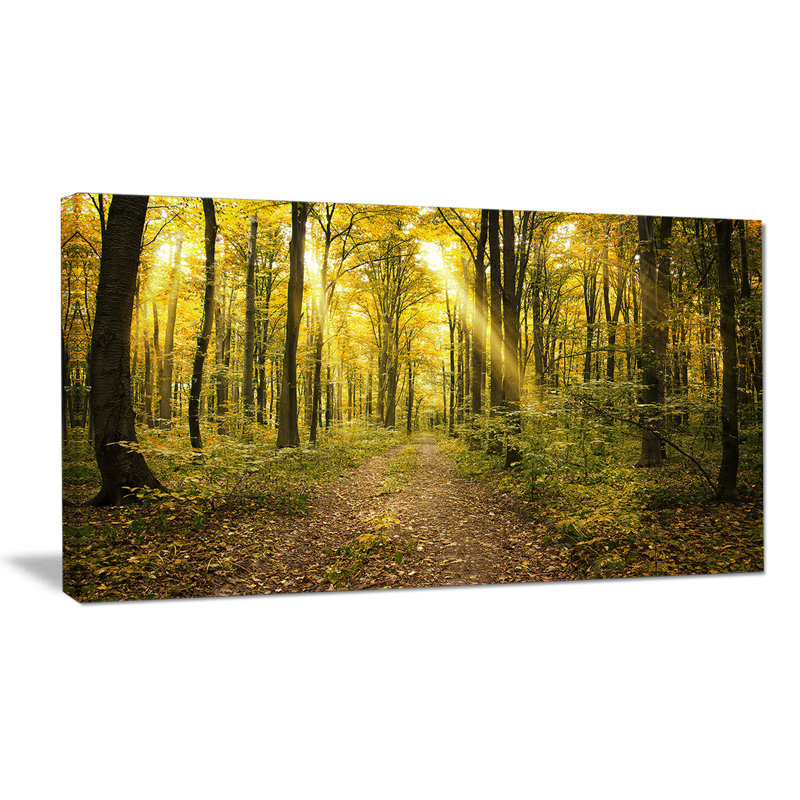 «Sunset in Green Autumn Forest», reproduction de photo sur toile tendue, H 16 po x l 32 po