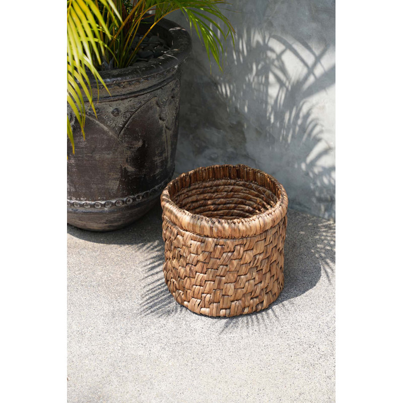 Bay Isle Home Water Hyacinth Decorative Basket