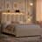Velvet Upholstered Storage Kids Platform Bed with LED Lights-2079413573-2067858230