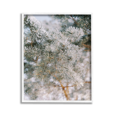 FrostedFirTreeBranchesGicleeArtbyJustineMilton