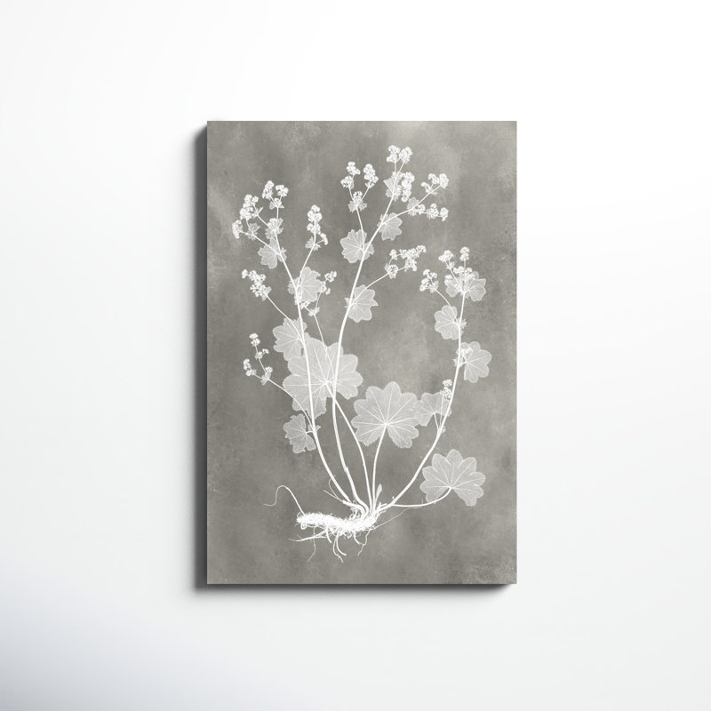 Herbarium Study I, peinture sur toile, H 36 po x l 24 po
