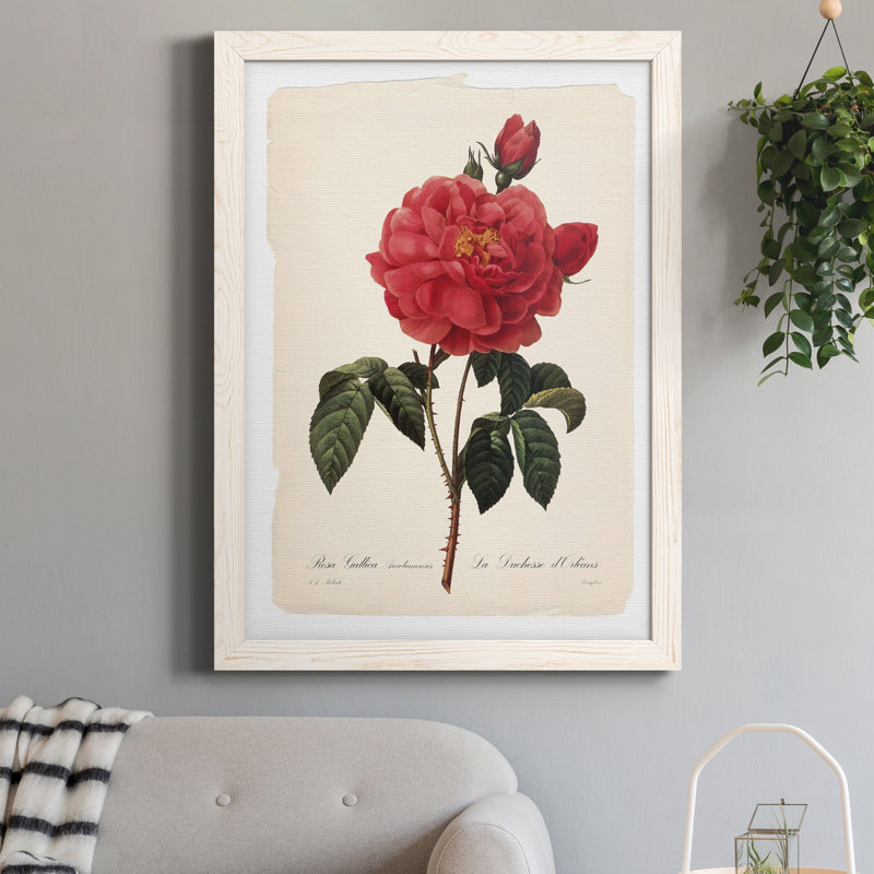 Red Botanical III - cadre photo, impression sur toile, H 24 po x l 18 po x P 1,5 po, Toile à cadre blanc