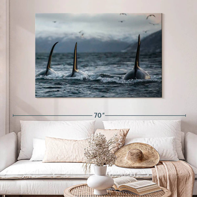 Brampt Norvège Orca Trio