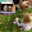 Parc pour enfants 8 chiots, clôture d'exercice pliable en métal pour chien, enclos intérieur et extérieur pour l'entraînement et aire de jeu sécuritaire-60801702-57902465