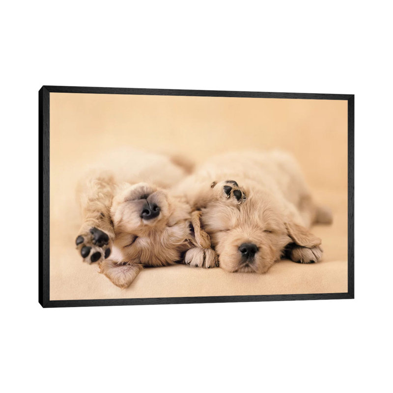 Jay And Connie by Rachael Hale - Print on Canvas, Black Framed, 152.5 cm H x 101.5 cm W