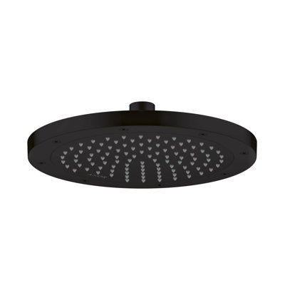 Rain Fixed Shower Head