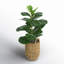 30'' Faux Fiddle Leaf Fig Tree in Wicker/Rattan Basket