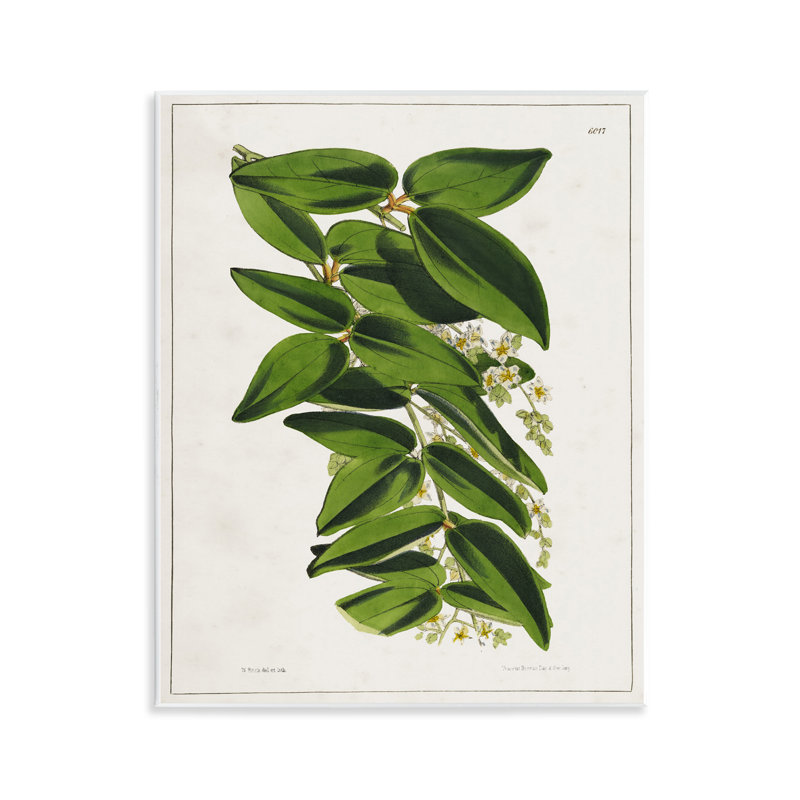 Stacked Leaves Botanical Wall Plaque Art by Tina Higgins Designs, Inc.