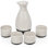 Fervor 5-Piece Hand Painted Ceramic Sake Set