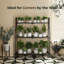 Plant Stand