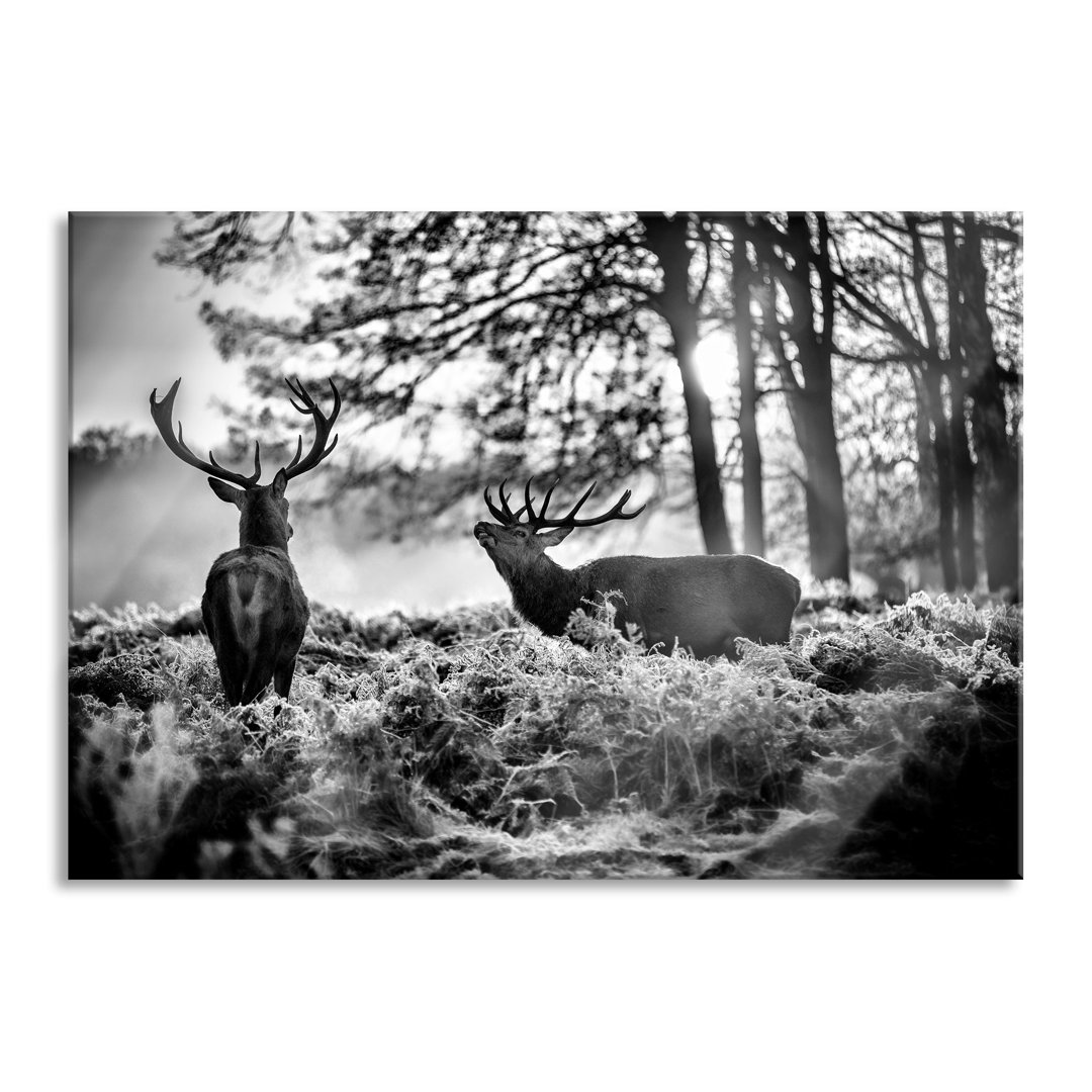 Glasbild Hirsch Rivalen kämpfen