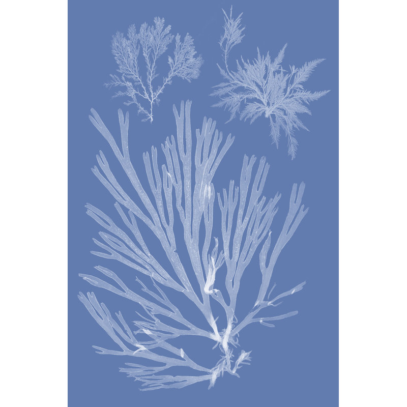 Nouveau Floral Design II - Wrapped Canvas Painting, 91cm H x 61cm Wx 3.8cm D