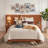 Modern Wide-Panel Upholstered Bed, Queen, Orange Velvet-324293339-324293341
