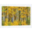 Jaune, reproduction d’art sur toile-32495483-72128864-72128865