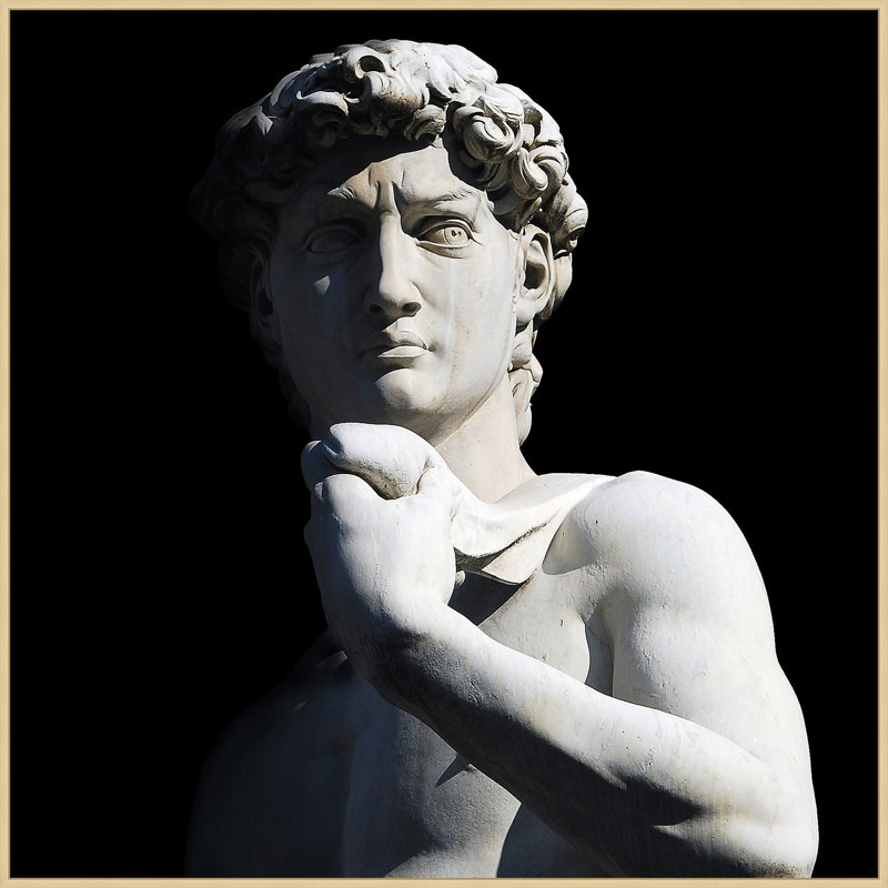 David Print by Lillian August