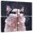 Brampt Kitty-109163817