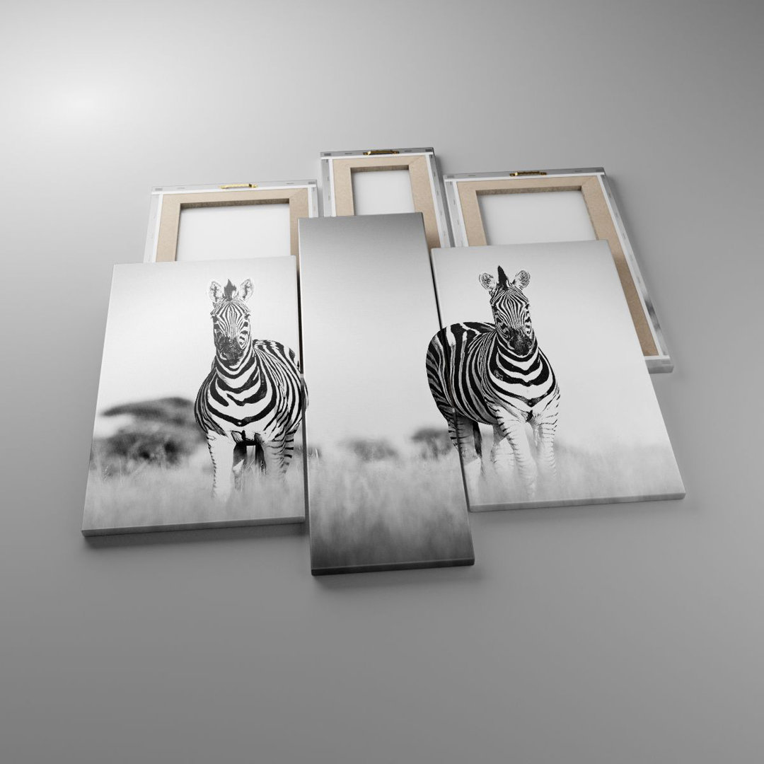 3-tlg. Leinwandbilder-Set Zebras