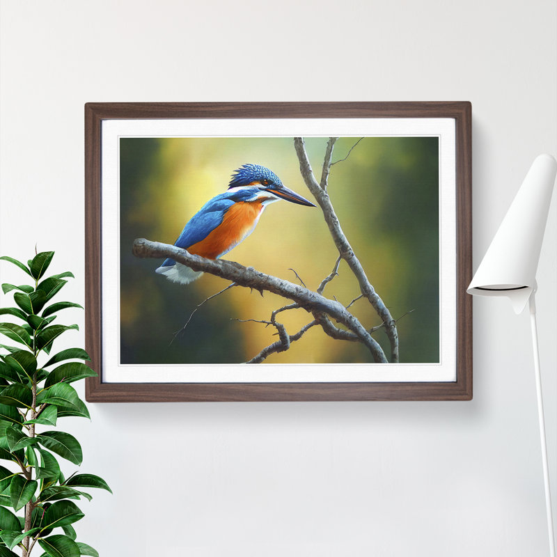 Cool Kingfisher Bird - Framed Print, 46cm H x 64cm W x 2cm D, Walnut