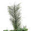  Grand sapin de Noël artificiel avec 1298 branches, ouverture automatique, base en acier, aiguilles de pin-68495253