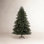 Douglas Fir Christmas Tree