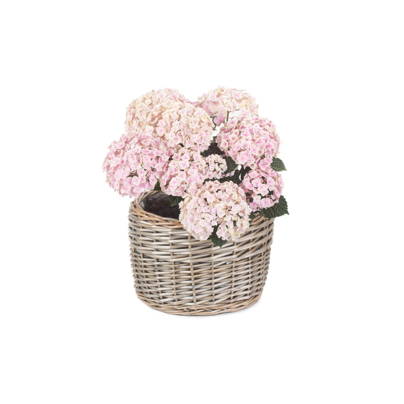 Lily Manor Wicker Planter Basket, 20cm H x 30cm W x 30cm D