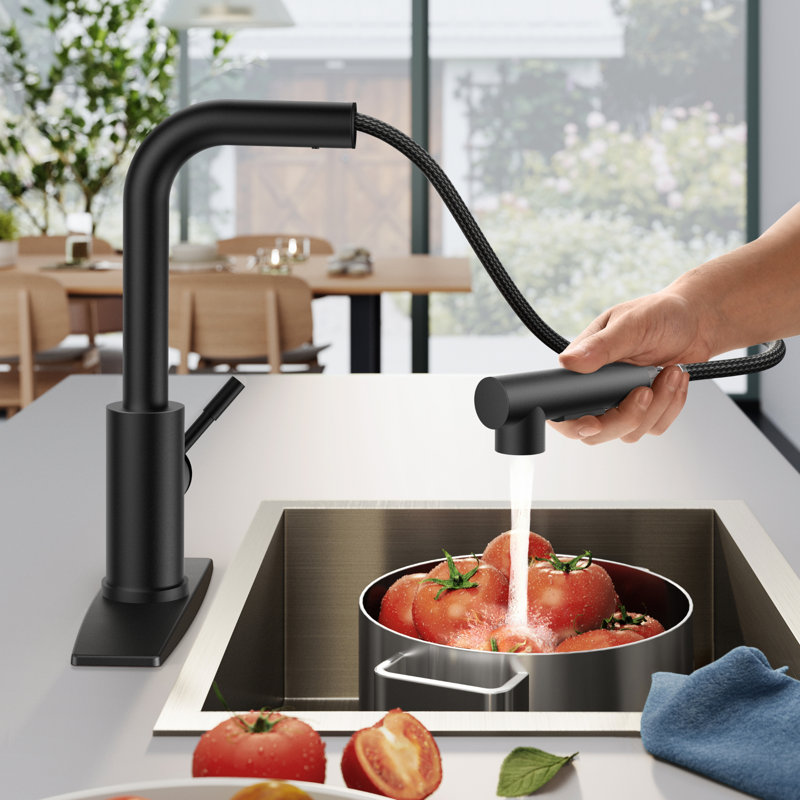 Robinet de cuisine rétractable à poignée simple avec plaque de pont, poignées et conduites d'alimentation, Noir