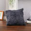Arvizu Square Cushion Cover-2021739816