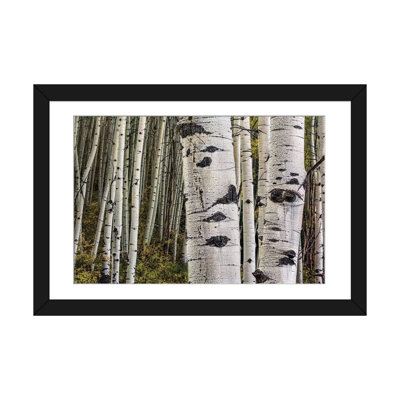 " Trunks " by Bill Sherrell