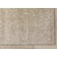 Tapis intérieur ton sur ton / beige de 4 pi x 6 pi (3 pi 11 po x 5 pi 11 po) Branch Branch - beige, moderne et contemporain - salon, chambre à coucher, salle à manger et cuisine-172731878