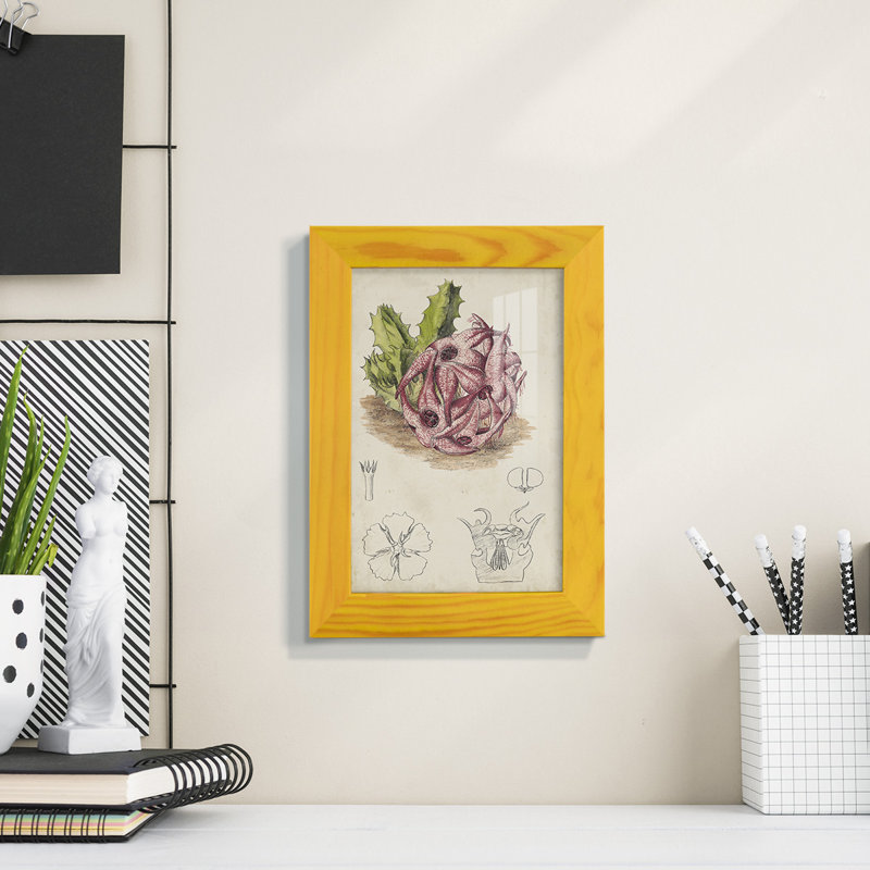 Cactus antique III, impression sur papier, H 6 po x l 4 po x P 1 po, Jaune