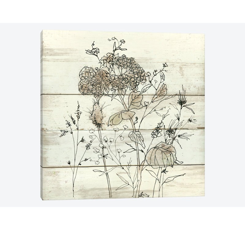 «Dried Flower Study II», impression sur toile, H 12 po x l 12 po x P 0,75 po, Pas de tapis, Toile tendue