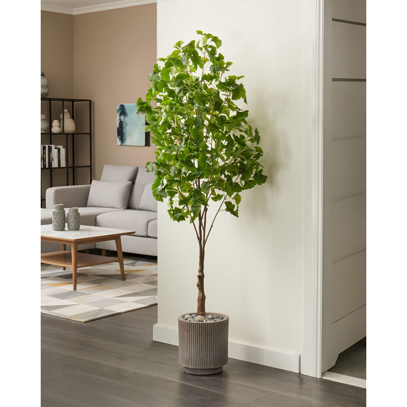 150cm Faux Ginko Tree in Pot