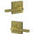 Satin Brass