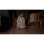 Black/White/Orange Iguana Sculpture