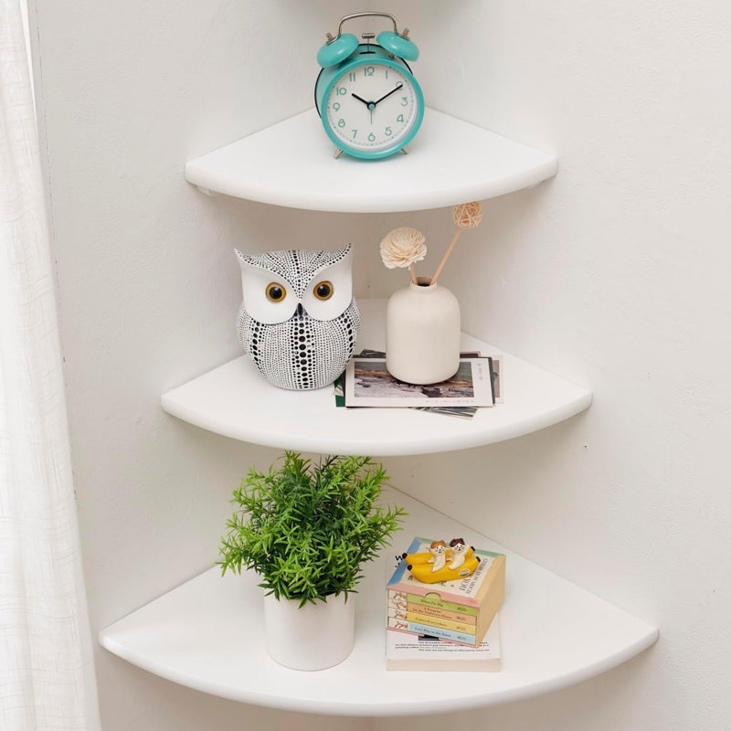 2.5 cm H x 30 cm W Solid Wood Floating Shelf Bookcase