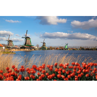" Dutch Windmills " by Extravagantni