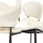 Side Chair Dining Chair (Set of 2)