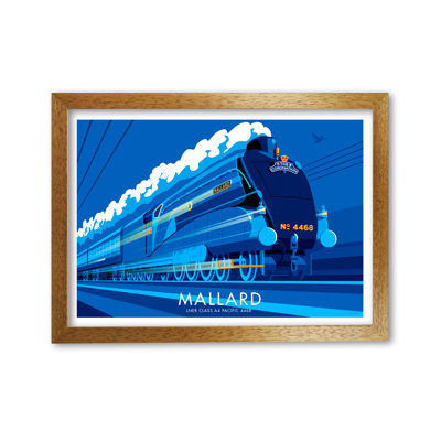 Mallard by Stephen Millership - Print
