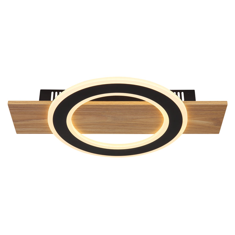 Danaysia LED Flush Mount