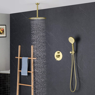 Système de douche circulaire à pression équilibrée à 2 fonctions avec valve brute