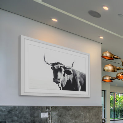 " Steer Face " by Marmont Hill