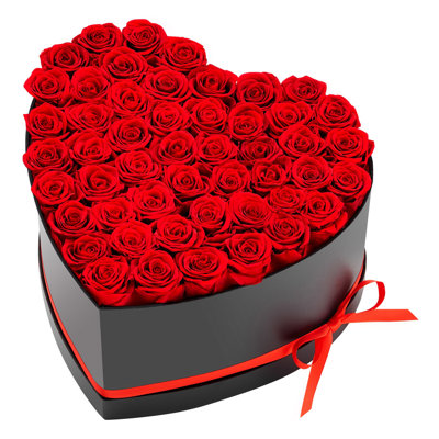Forever Flowers, 50 Preserved Roses in a Heart Shape Box, Eternal Flowers Immortal Bouquet Birthday Present for Delivery Prime Women Her Wife Mothers, Anniversary, Valentine's Day,Christmas, Red