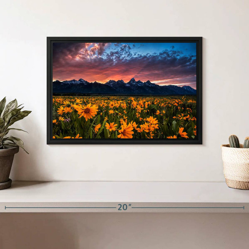 Grand Teton Wildflowers, Cadre flottant noir, 13 po x 9 po